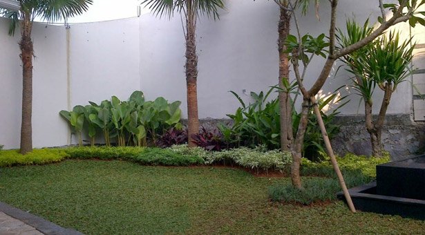 tukang taman serpong