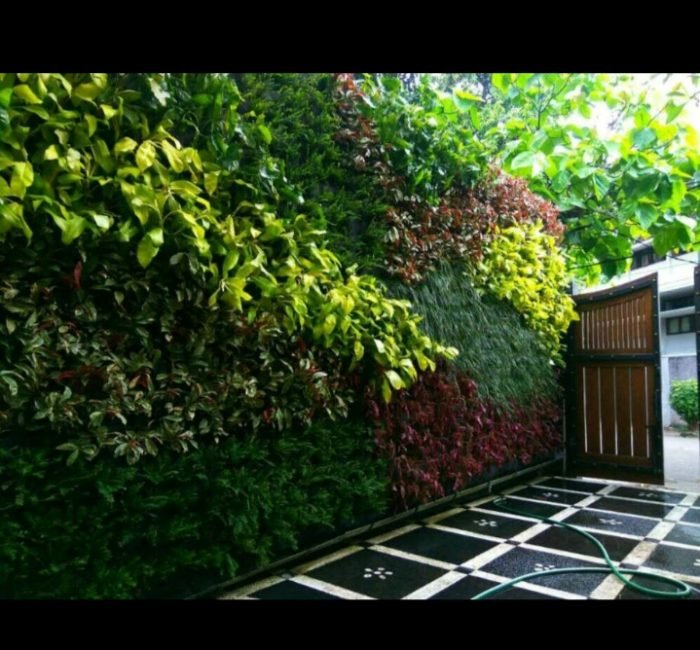 vertical garden bsd
