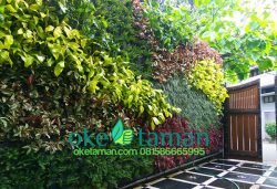 jasa taman vertikal bsd