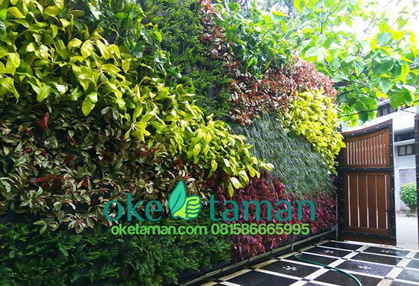 jasa taman vertikal bsd