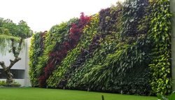 jasa pembuatan taman vertical garden profesional