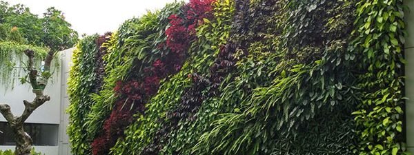 jasa pembuatan taman vertical garden profesional