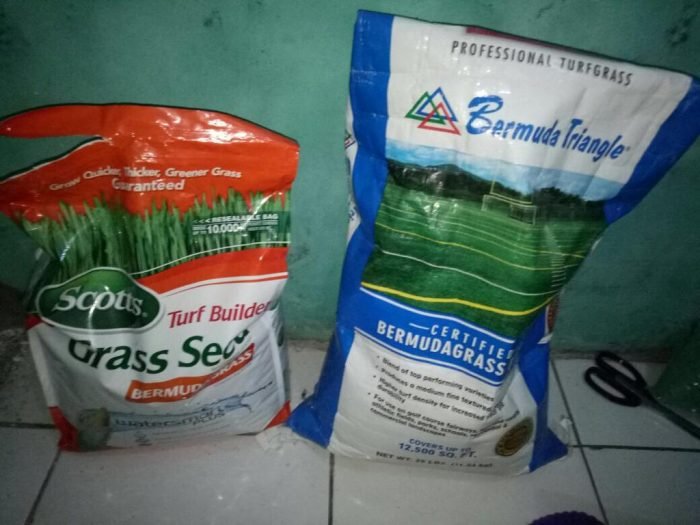 jual biji rumput batam