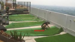 jual rumput sintetis bsd