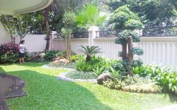tukang taman batam
