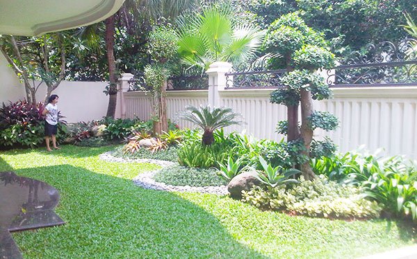 tukang taman batam