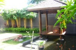 tukang taman kebayoran
