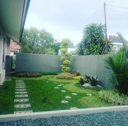 tukang taman kebayoran baru