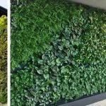 kontraktor vertical garden