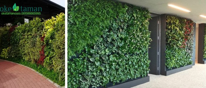 kontraktor vertical garden